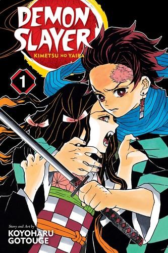 Demon Slayer, Vol. 1